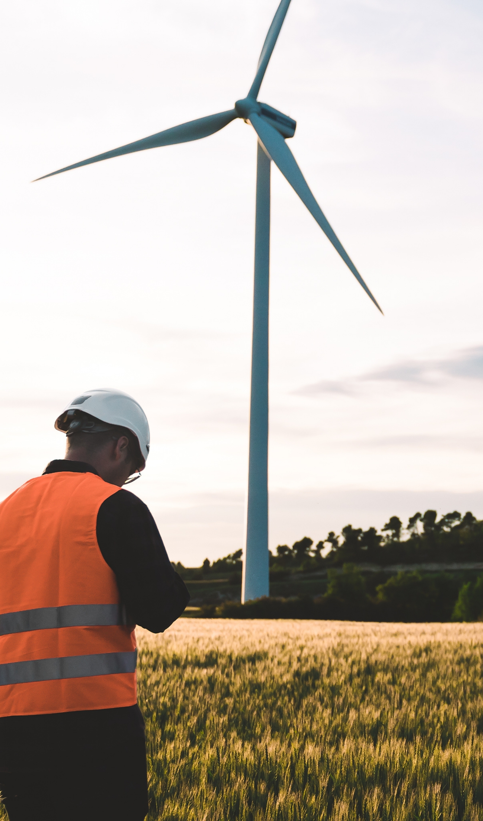 Adobe Stock 441952658 Preview