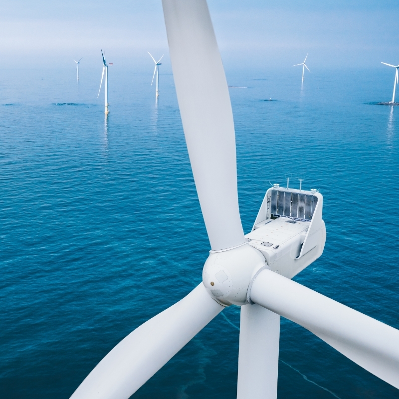 Adobe Stock 1020885822 Preview